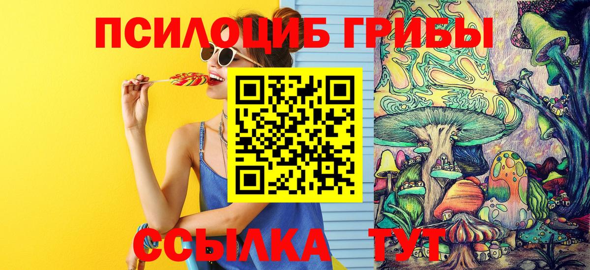 Псилоцибиновые грибы GOLDEN TEACHER Мирный